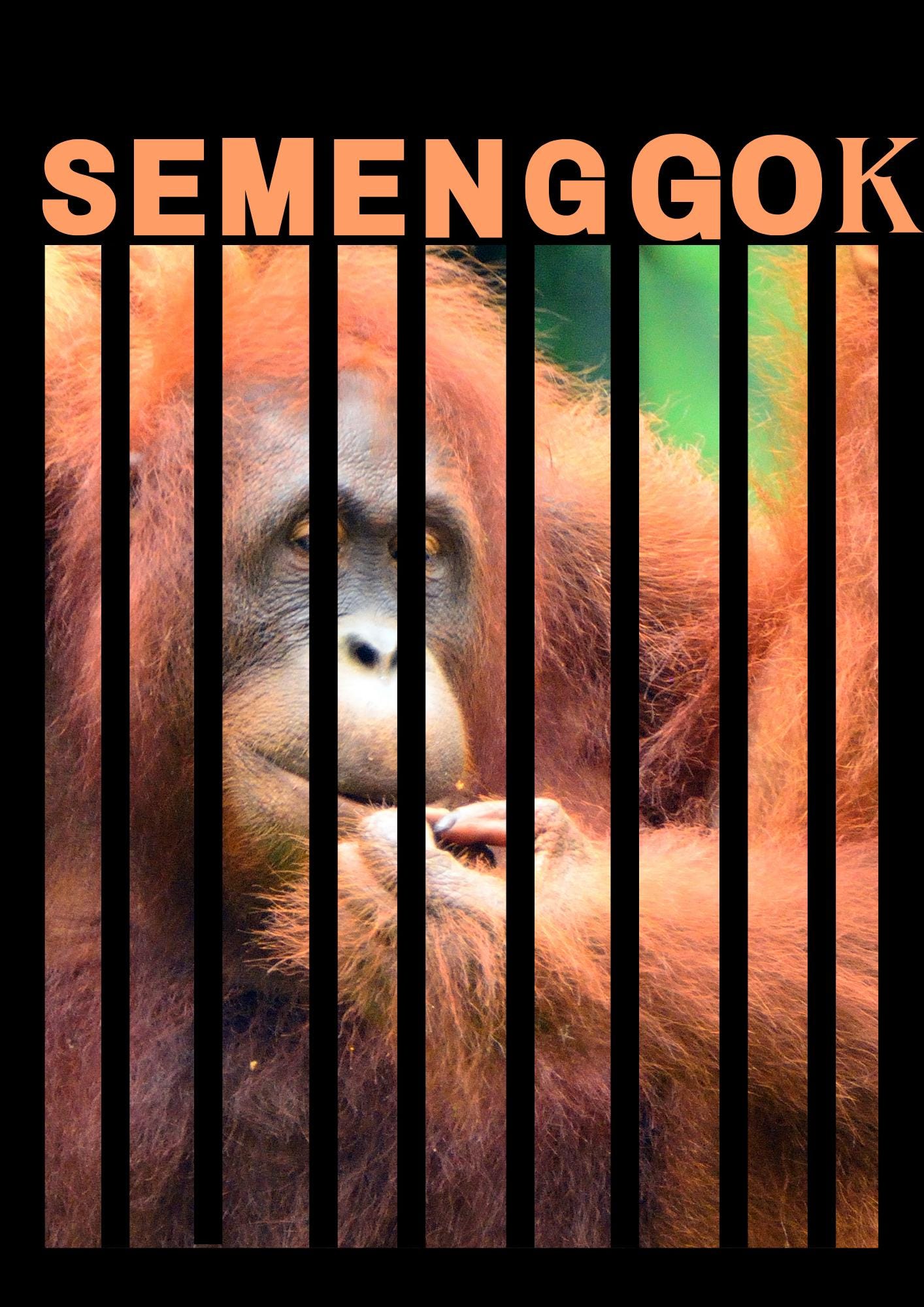 Sarawak Malaysia Digital Wall Art - Sarawak Travel Poster & Semenggok Orangutan Print I Printable Travel Decor