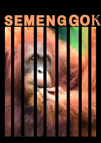 Sarawak Malaysia Digital Wall Art - Sarawak Travel Poster & Semenggok Orangutan Print I Printable Travel Decor