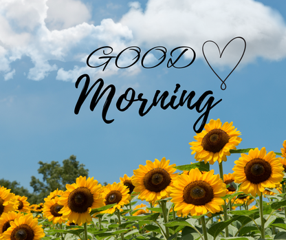 Start your morning with a little Beauty - my Good Morning templates are ready for you